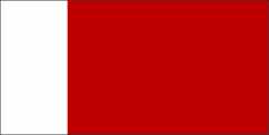 Dubai/UAE flag